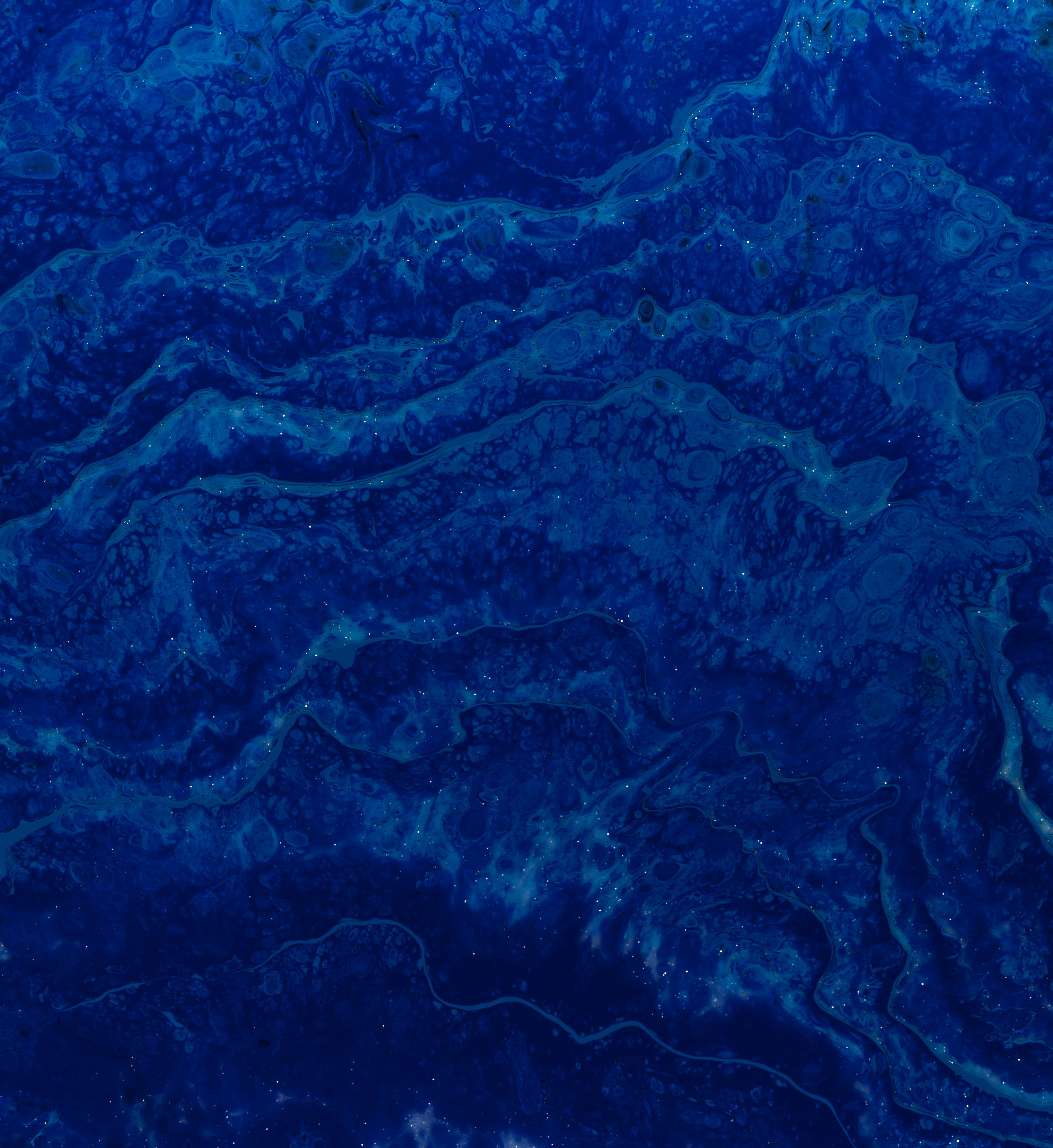 ContactUs tailwind section