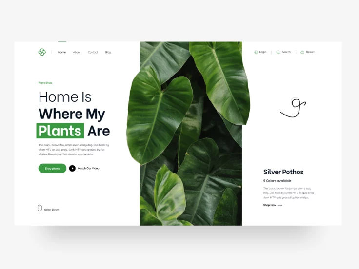 Design Preview